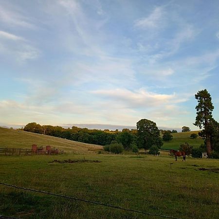 The Stables At Eriviat Hall Henllan  外观 照片